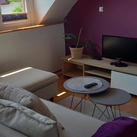 Domek Pod Sosnami Pokoje 2-3 Osobowe Apartman Mielno  Kültér fotó